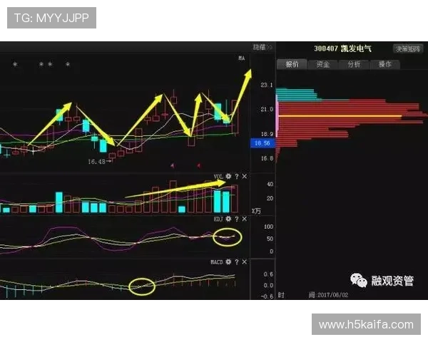 如何通过凯发体育的网址获取最新体育资讯与动态