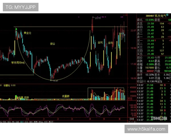 凯发电气股吧：分析师对凯发电气未来增长空间及投资建议的详细解读
